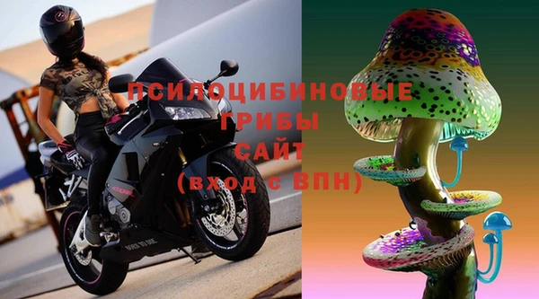 бутират Дмитриев